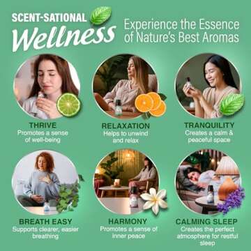 GuruNanda Essential Oil Blends (Set of 6) - Natural Essential Oil Set, Aromatherapy Oil Blends for Diffusers - Breathe Easy, Tranquility, Harmony, Calming Sleep, Relaxation & Thrive