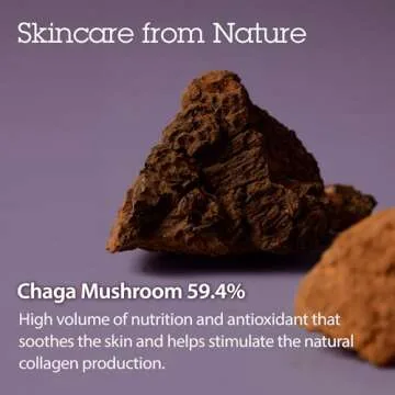 BLITHE Pressed Serum Chaga Mushroom - Advanced Anti-Aging Cream