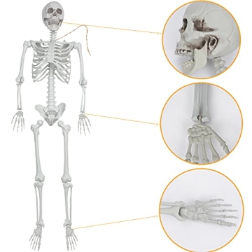 Life Size Halloween Skeleton for Spooky Decor