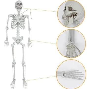 Life Size Halloween Skeleton for Spooky Decor