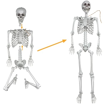 Life Size Halloween Skeleton for Spooky Decor