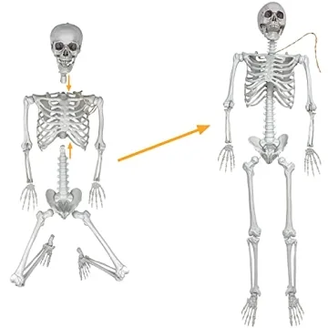 Life Size Halloween Skeleton for Spooky Decor