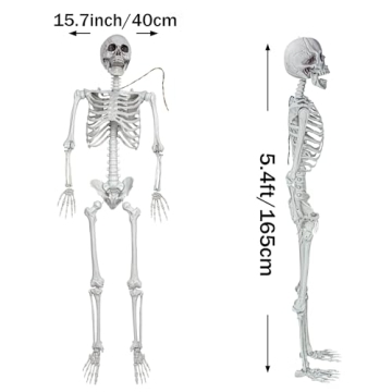 Life Size Halloween Skeleton for Spooky Decor