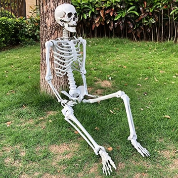 Life Size Halloween Skeleton for Spooky Decor
