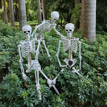 Life Size Halloween Skeleton for Spooky Decor