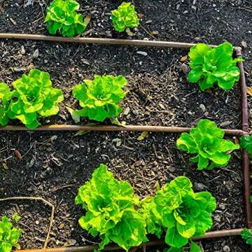 (100' ft Roll) - USA Made - 1/4-Inch x Irrigation/Hydroponics Dripline with 6-Inch Emitter Spacing (Brown) (100' Foot Roll)