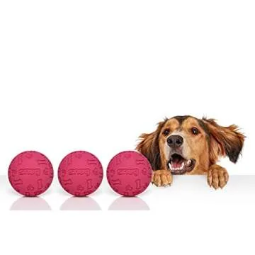 Snug Rubber Dog Balls for Small & Medium Dogs - Indestructible & Fun - 3 Pack
