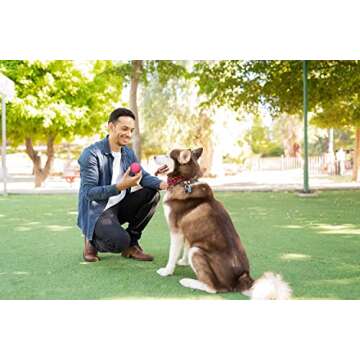 Snug Rubber Dog Balls for Small and Medium Dogs - Tennis Ball Size - Virtually Indestructible (3 Pack - Pink)