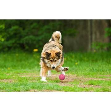 Snug Rubber Dog Balls for Small and Medium Dogs - Tennis Ball Size - Virtually Indestructible (3 Pack - Pink)