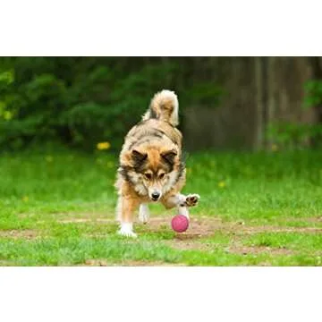 Durable Rubber Dog Balls for Safe Fetch Fun - 3 Pack