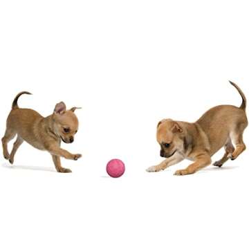 Snug Rubber Dog Balls for Small and Medium Dogs - Tennis Ball Size - Virtually Indestructible (3 Pack - Pink)