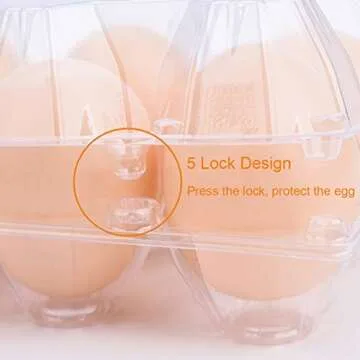 BULKBUY Egg Cartons 60 Packs, Clear Plastic Blank Egg Cartons with Free Labels, Holds up to 12 Eggs Securely, Perfect for Family Pasture Farm Markets Display - Medium