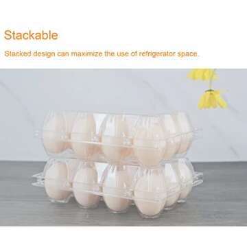 BULKBUY Egg Cartons 60 Packs, Clear Plastic Blank Egg Cartons with Free Labels, Holds up to 12 Eggs Securely, Perfect for Family Pasture Farm Markets Display - Medium