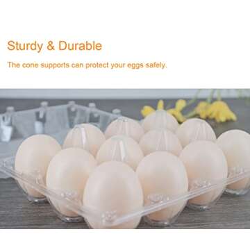 BULKBUY Egg Cartons 60 Packs, Clear Plastic Blank Egg Cartons with Free Labels, Holds up to 12 Eggs Securely, Perfect for Family Pasture Farm Markets Display - Medium