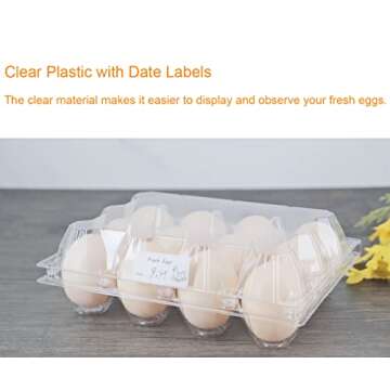 BULKBUY Egg Cartons 60 Packs, Clear Plastic Blank Egg Cartons with Free Labels, Holds up to 12 Eggs Securely, Perfect for Family Pasture Farm Markets Display - Medium