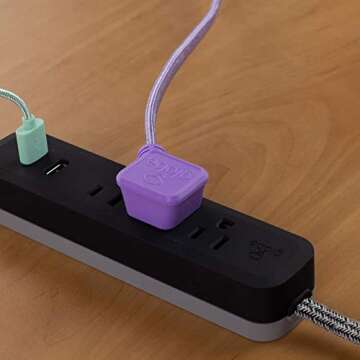 Globe Electric - 78257 Designer Series Power Strip, Rose 3 Outlet