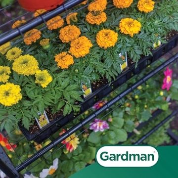 Gardman R687 Mini Greenhouse - Space-Saving Gardening Solution