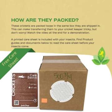 Josh's Frogs 3/4" Banded Crickets (500 Count)
