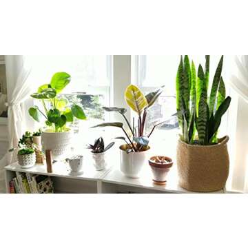 OrganizerPro Jute Storage Baskets Dual Handles Woven Storage Basket Floor Bin Pot Plant Cover Basket Belly Baskets Rope Basket, Nursery Baskets & Baby Room Baskets, Planter Basket