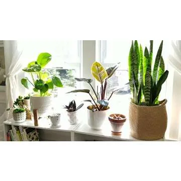 OrganizerPro Jute Storage Baskets Dual Handles Woven Storage Basket Floor Bin Pot Plant Cover Basket Belly Baskets Rope Basket, Nursery Baskets & Baby Room Baskets, Planter Basket