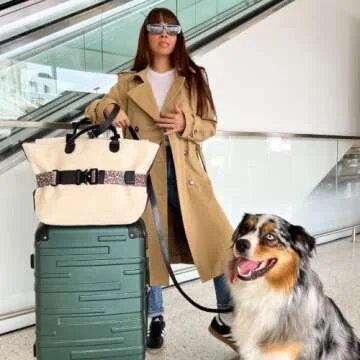 The Original Cincha Travel Belt for Luggage - Add a Bag Luggage Strap for Carry On Bag - Airport Tra...