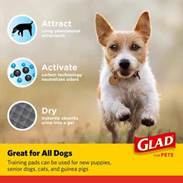 Glad Charcoal Puppy Pads for Indoor Potty Training 150 Count