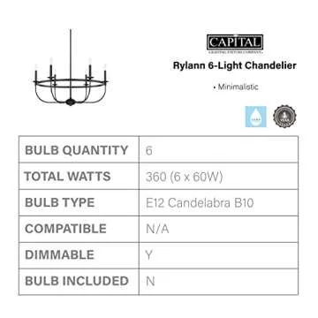 Stylish Capital Lighting Rylann Chandelier in Matte Black