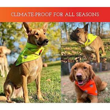 SPOT THE DOG! High Visibility Reflective Bandana Bib