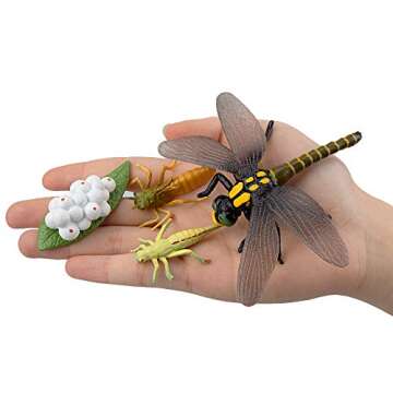 Toymany 17PCS Life Cycle of Frog Snail Earthworm Dragonfly, Egg Tadpole to Frog Safariology Amphibian Figurines Toy Kit, Plastic Forest Animal Figures Educational School Project