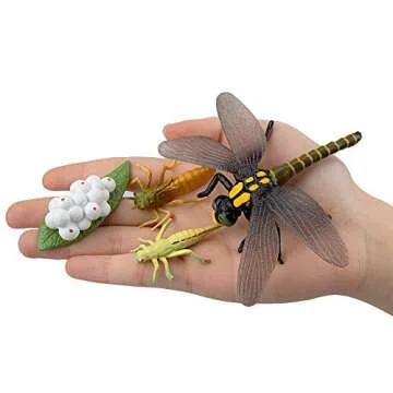 Toymany 17PCS Life Cycle of Frog Snail Earthworm Dragonfly, Egg Tadpole to Frog Safariology Amphibian Figurines Toy Kit, Plastic Forest Animal Figures Educational School Project
