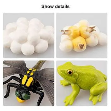 Toymany 17PCS Life Cycle of Frog Snail Earthworm Dragonfly, Egg Tadpole to Frog Safariology Amphibian Figurines Toy Kit, Plastic Forest Animal Figures Educational School Project