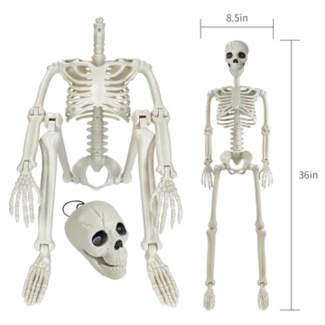 Posable 36" Human Skeleton Halloween Decoration