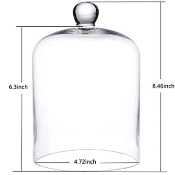 Elegant 4.72" Clear Glass Display Dome Cloche with Handle