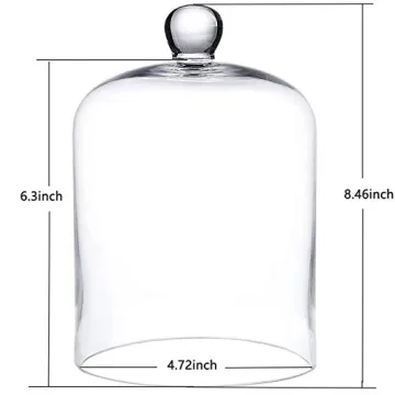 Elegant 4.72" Clear Glass Display Dome Cloche with Handle