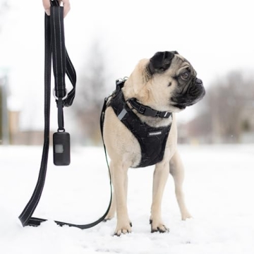 Voyager Reflective Dog Leash Neoprene Handle Durable All Breeds