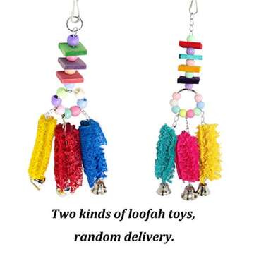 Lanermoon Chicken Toys for Hens with Natural Colorful Loofah Hanging Bells Chewing Toys