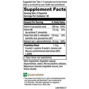 NeuroScience Balance D - Mood Support Supplement for Energy, Focus & Brain Health - Vitamin B6, Folate & More - Aid Dopamine Synthesis for Healthy Craving Control & Cognition (60 Capsules)