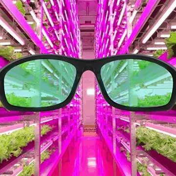 Apollo Grow Light Glasses for LED Grow Room Safety