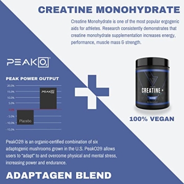 Vedge Nutrition Creatine + Vegan Energy & Performance Enhancer