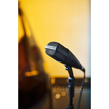 Shop Sennheiser MD 421-II Cardioid Dynamic Microphone