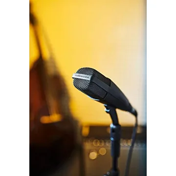 Shop Sennheiser MD 421-II Cardioid Dynamic Microphone