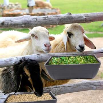 2 Pack Chicken Feeders for Goats and Poultry Supplies