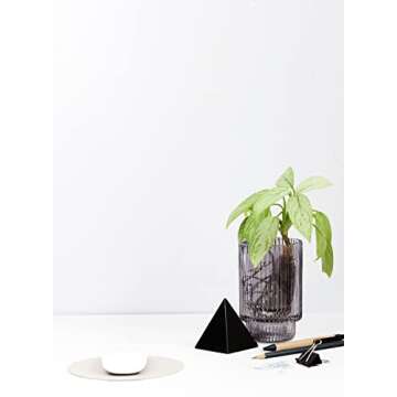 Serene Spaces Living Set of 4 Short Smoke Grey Ribbed Glass Votive Holder, Perfect for Weddings and Home Décor, Measures 3.75" Tall and 2.25" Diameter