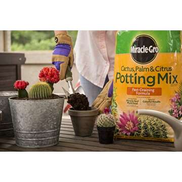 Miracle-Gro Cactus, Palm and Citrus Potting Mix, for Indoor or Outdoor Container Plants, Great for S...
