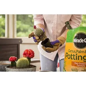 Miracle-Gro Cactus & Palm Potting Mix for Succulents 8 qt