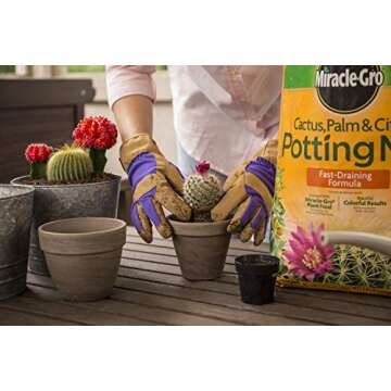 Miracle-Gro Cactus, Palm and Citrus Potting Mix, for Indoor or Outdoor Container Plants, Great for Succulents, 8 qt., 2-Pack