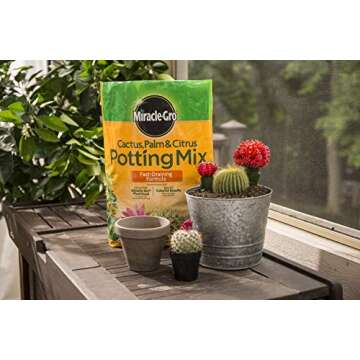 Miracle-Gro Cactus, Palm and Citrus Potting Mix, for Indoor or Outdoor Container Plants, Great for Succulents, 8 qt., 2-Pack
