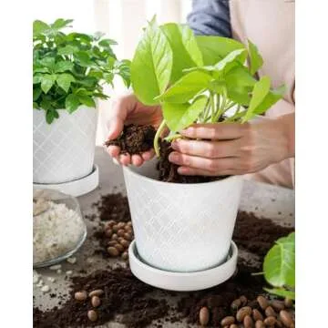 EFISPSS Flower Planter –5 inch Ceramic Plant Pots with Drainage Holes and Ceramic Tray - Gardening Home Desktop Office Windowsill Decoration Gift Set of 4 - Plants NOT Included (White)