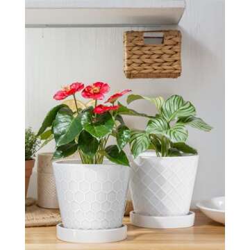 EFISPSS Flower Planter –5 inch Ceramic Plant Pots with Drainage Holes and Ceramic Tray - Gardening Home Desktop Office Windowsill Decoration Gift Set of 4 - Plants NOT Included (White)