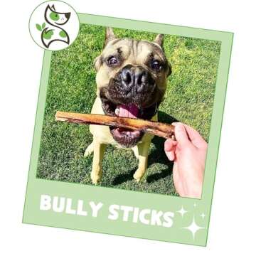 Nature Gnaws Bully Sticks for Dogs 5-6" (8oz) - Mixed Thickness - Long Lasting for Aggressive Chewers and Large Dogs - Natural Beef Dog Chew Bones